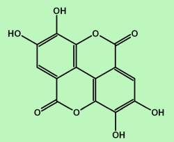 Ellagic Acid